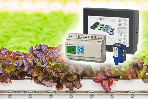 IMO in Action: Fresh Food Processing Conveyor Application